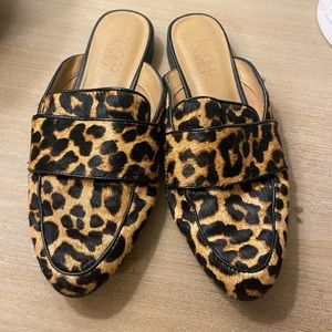 Cheetah mules